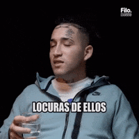 Peke GIF by Filonews