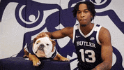 Butler Bulldogs Dog GIF by Butler University