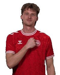 Premier League Football Sticker by DBU