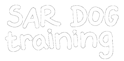 Train Sar Sticker by Evitas