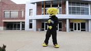 Wu_Shock wsu wu wushock shockers GIF