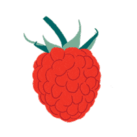 flobeaut food healthy fruit fruits Sticker