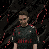 Call Of Duty Idk GIF by 100 Thieves
