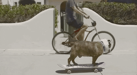 Teen Choice Awards GIF by FOX Teen Choice