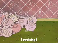 season 4 episode 3 GIF by SpongeBob SquarePants