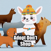 Pets Adoption GIF by Llamaozi