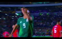 celebrate come on GIF by MiSelecciónMX