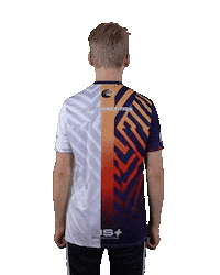 Esports Zebra Sticker by BS+COMPETITION