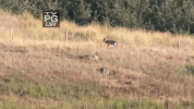 GIF by National Geographic Channel