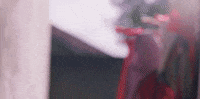 Letter GIF by TIFF