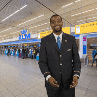 Royal Dutch Airlines Travel GIF by KLM
