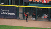 Baseball Mlb GIF by Cincinnati Reds