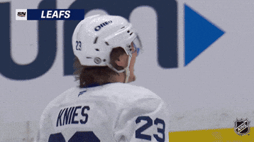 Happy National Hockey League GIF by NHL
