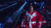Fight Punch GIF by RCC Sport