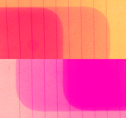 color glitch art GIF by Yvonne Cheng