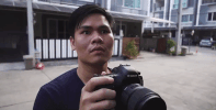 Sunbeary GIF