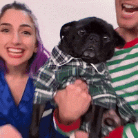 Whats Happening What GIF by evite