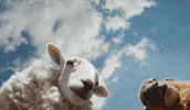 Pov Sehen GIF by Sony Pictures Germany