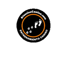 Dogs Training Sticker by Atención Canina