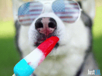 Fourth Of July Win GIF