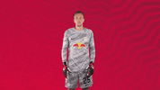 Football Sport GIF by RB Leipzig
