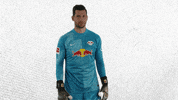 Football Soccer GIF by RB Leipzig