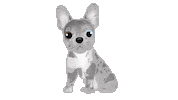 French Bulldog Sticker by zoopeez