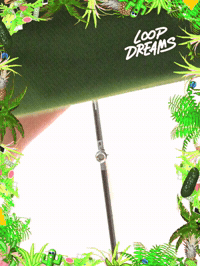 framebeta GIF