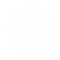 Sparkling Water Sticker by WILKINSON Japan