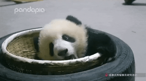 johnnyfranklind2bd giphyupload GIF
