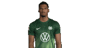 Germany Yes Sticker by VfL Wolfsburg