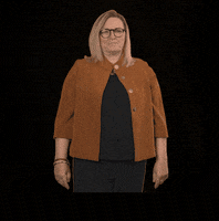 fdpfraktionlsa fdplsa fdpfraktionlsa ktarricone tarricone GIF