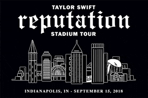 Reputation Stadium Tour GIF by Taylor Swift