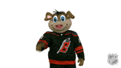 Ice Hockey Sport GIF by NHL
