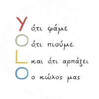 Fun Yolo Sticker