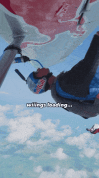 Red Bull Gives You Wings GIF by Red Bull