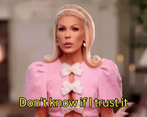 Dustin_Cone confused idk housewives trust GIF