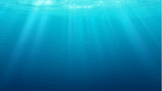 finding dory disney GIF by Disney/Pixar's Finding Dory