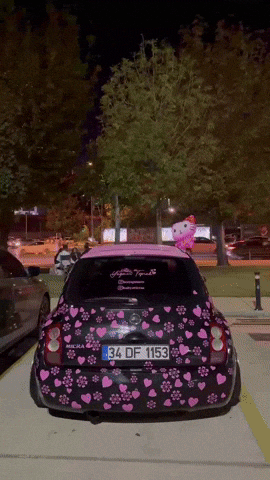 Car Love GIF