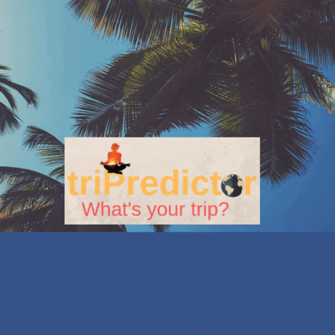 discover next destination GIF by tripredictor