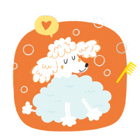 fluivetspa cat dog pet gato Sticker