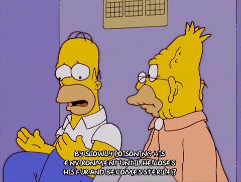 talking homer simpson GIF