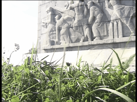oktyabrskateshop giphygifmaker GIF