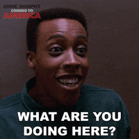 Eddie Murphy GIF by Coming to America