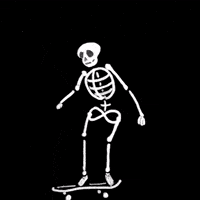Skating Jason Lee GIF by Yin Wrong