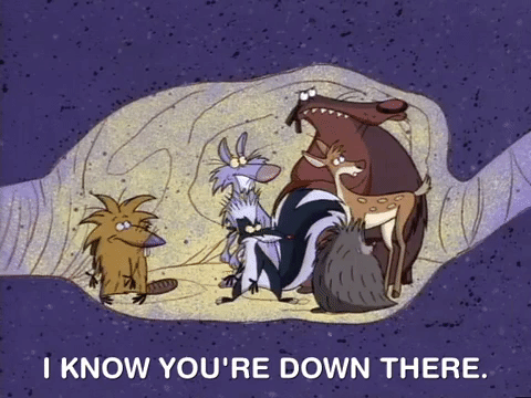 nickrewind giphydvr nicksplat angry beavers giphyab005 GIF