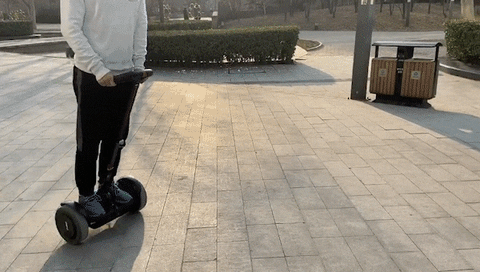 bobfan8e82 giphyupload GIF