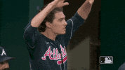 Major League Baseball Sport GIF by MLB