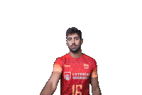 Volleyball Juanmi Gonzalez Sticker by RedLynxes