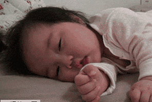 eileencacaoute giphyupload GIF